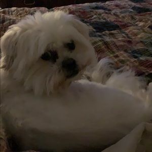 Meet your Posher, Jesse